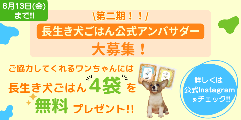【特典付き!】長生き犬ごはん公式アンバサダー募集中!!
