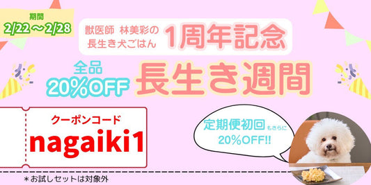 発売1周年記念!クーポンコード入力で全品20%OFF!
