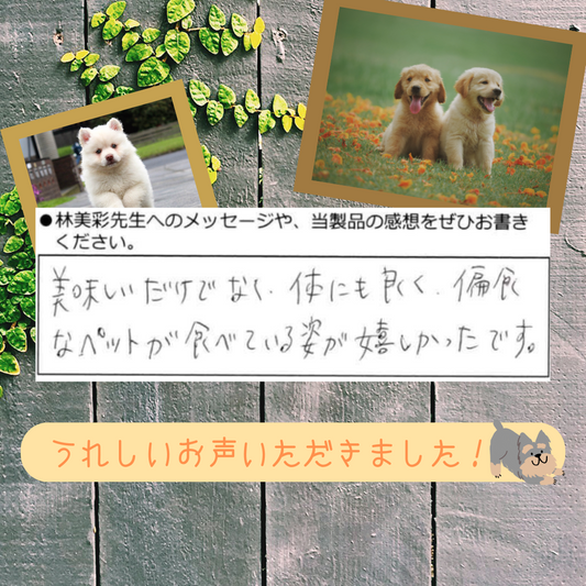 美味しいだけじゃない!