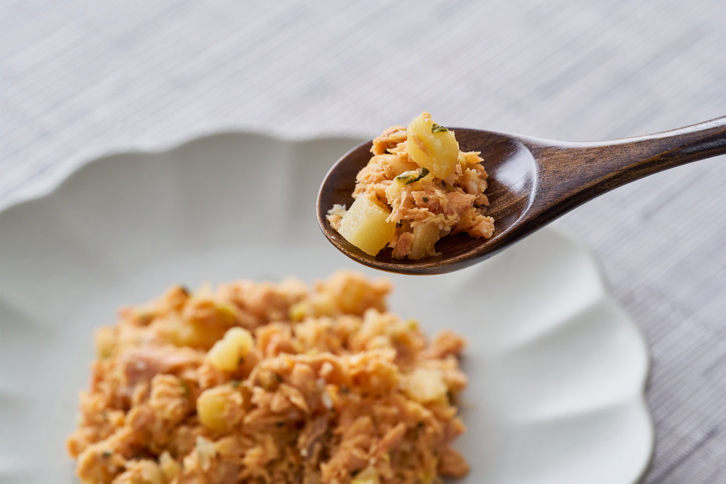 お魚ごはん(鮭)セット