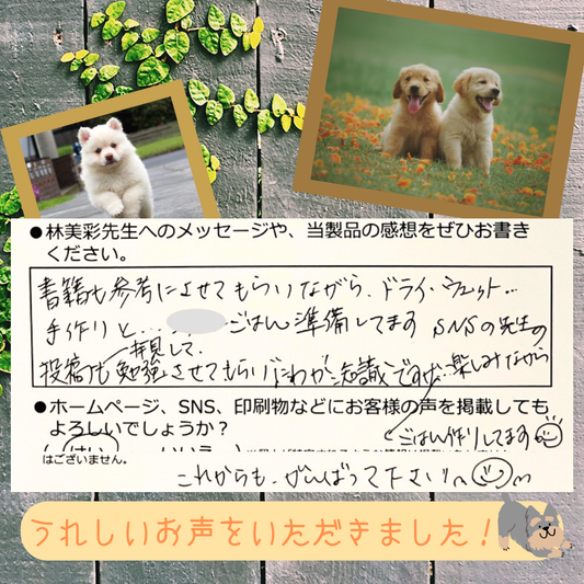 楽しみながらごはん作りしてます😊