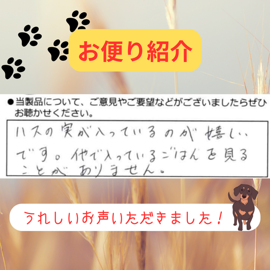 他では見ないごはん