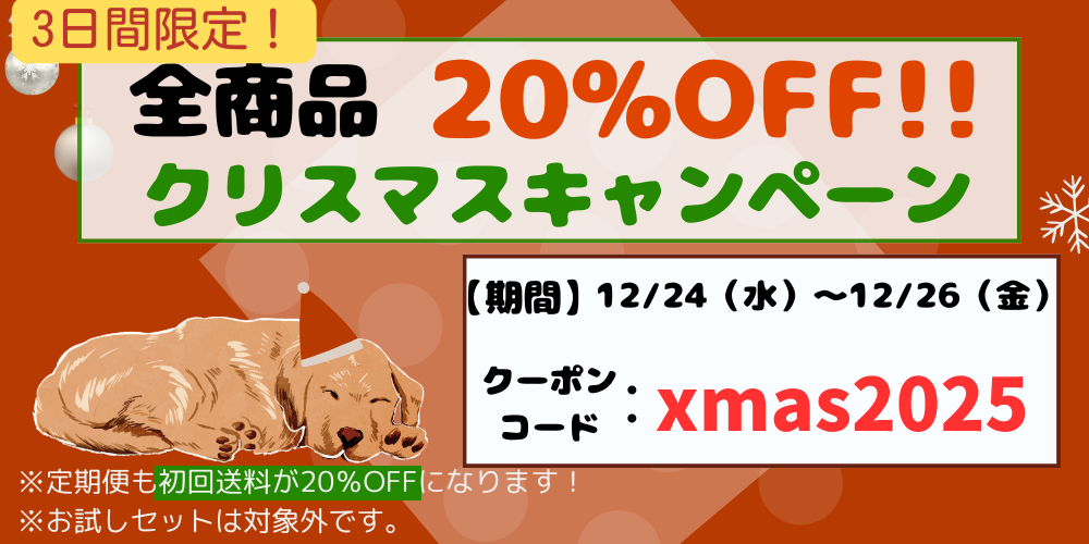 2025クリスマスキャンペーン