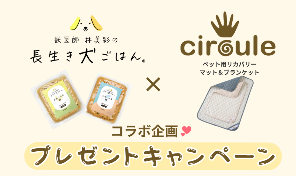 Circule×長生き犬ごはん®コラボ　プレゼントキャンペーン🐶🎁